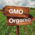 44080822-gmo-or-organic-farming-wooden-direction-sign-in-agricultural-field